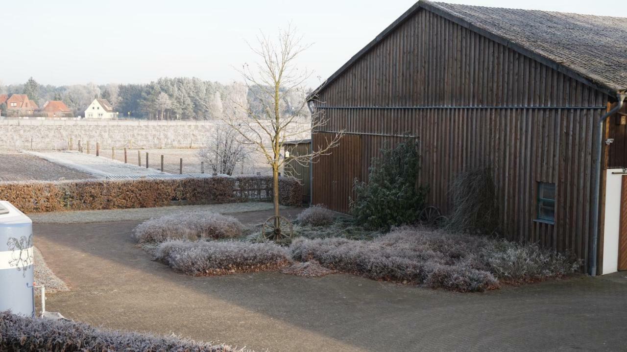Ferienwohnung Wiesenblick Nahe Region Celle Und Hannover Бухгольц Екстер'єр фото